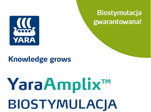 Broszura