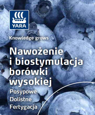 Broszura