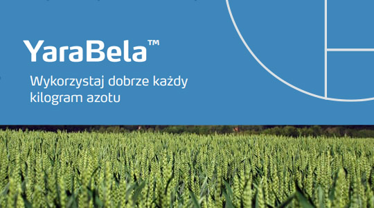 YaraBela