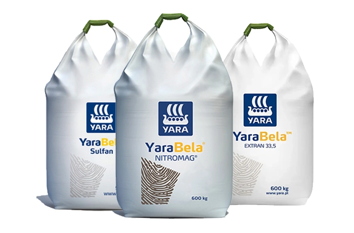 YaraBela bag