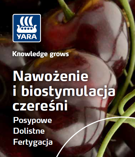 Broszura