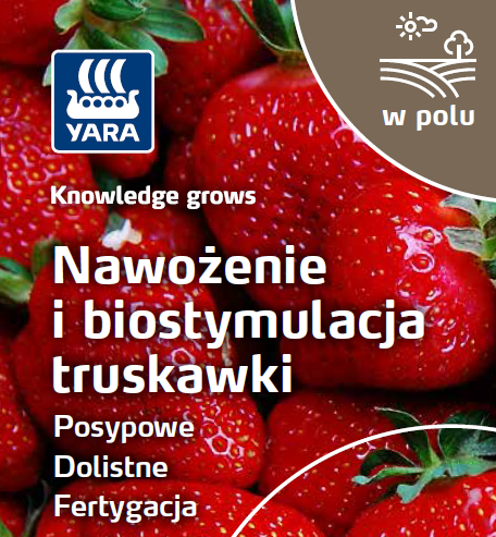 Broszura