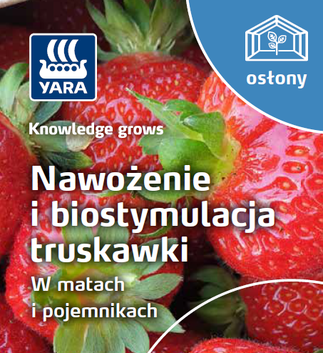 Broszura