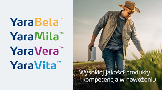 Broszura