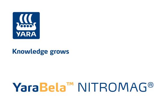 Broszura