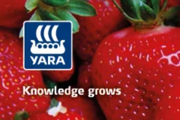 Programy nawożenia roślin jagodowych